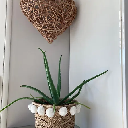 Somptueuse D'architecte Climatisee Avec Piscine Chauffee